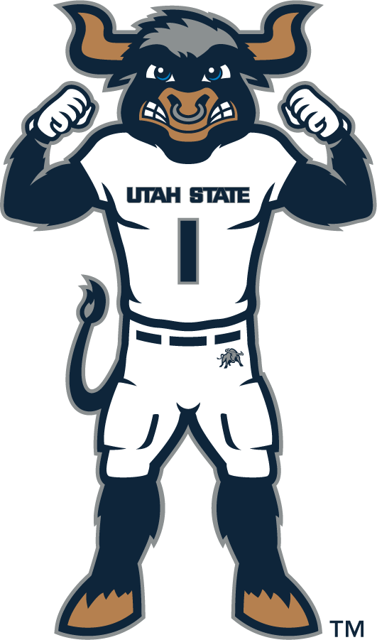 Utah State Aggies 2019-Pres Mascot Logo v4 DIY iron on transfer (heat transfer)